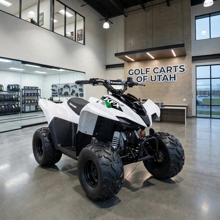 2027 Kawasaki KFX®50 For Sale