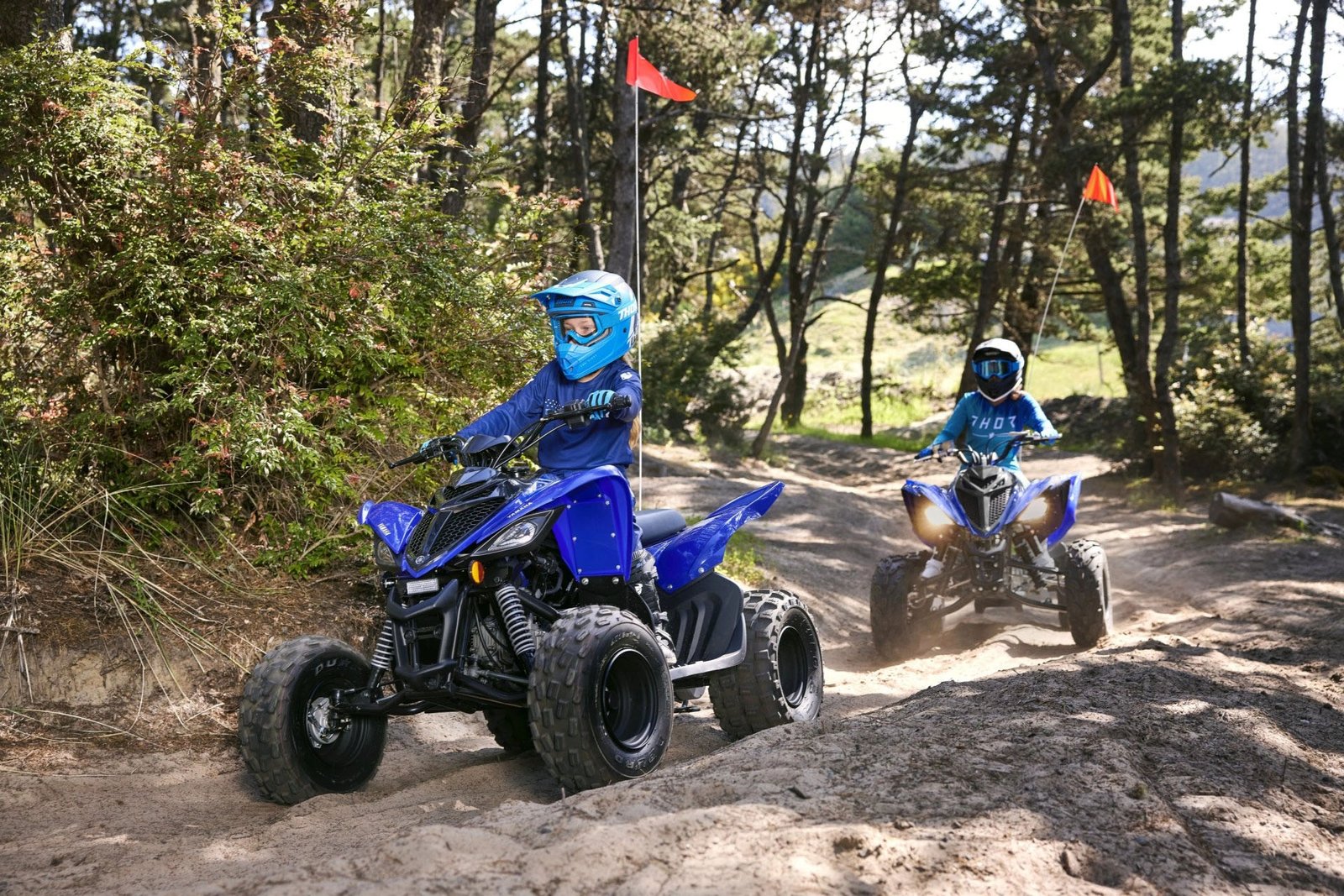 2027 Yamaha Raptor 110 For Sale - Image 4