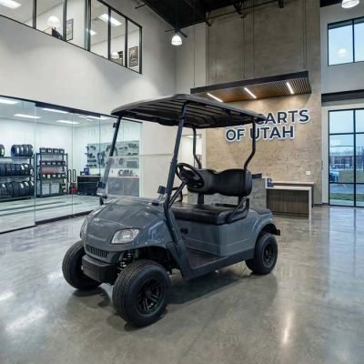 2012 E-Z-GO RXV 2 Passenger 48V Electric Golf Cart For Sale