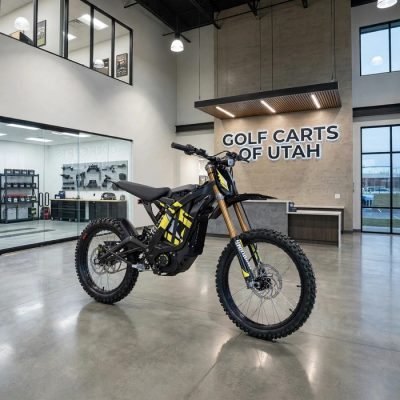 2025 Black Surron Light Bee X For Sale